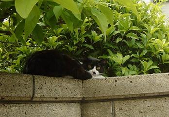 DSC02579.JPG