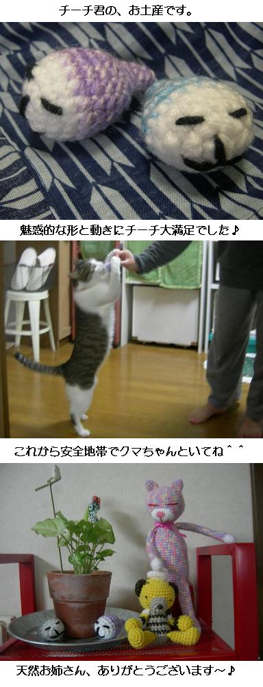 20080514amineko.jpg