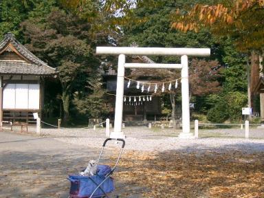 八和田神社１１/９