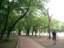 別所沼公園６/２９