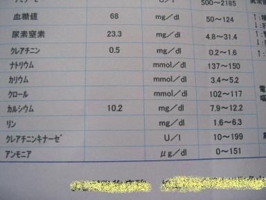 血液検査１０/１８