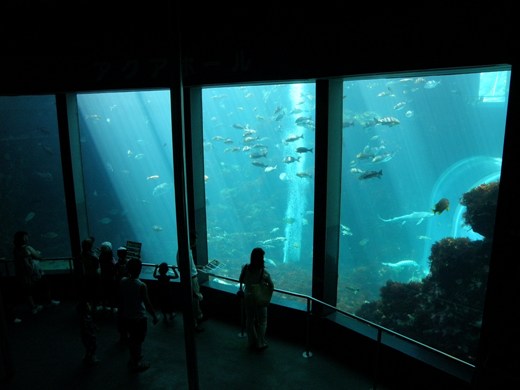 下田海中水族館