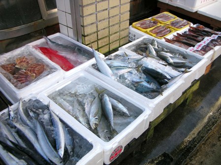 【お土産】地元の鮮魚や干物を買うなら「山常鮮魚店」がおススメ！