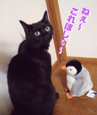 メグとペンギン