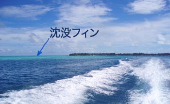 ゲロン沈没フィン