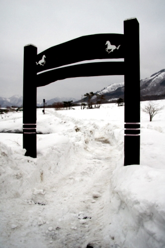 蒜山・湯原雪景色