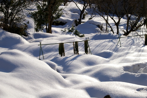 蒜山・湯原雪景色