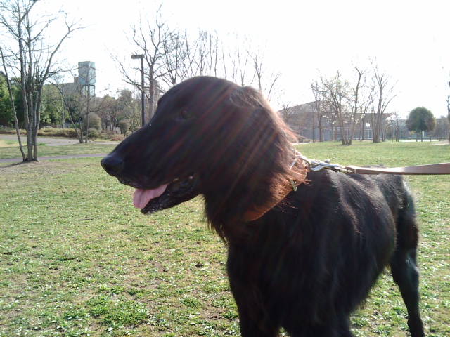 20080412074309.jpg