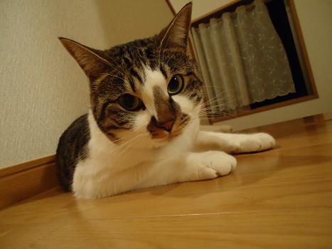 DSC01216.JPG