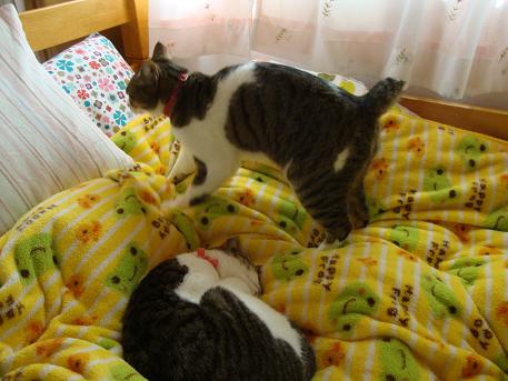 DSC08480.JPG