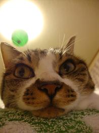 DSC00248.JPG