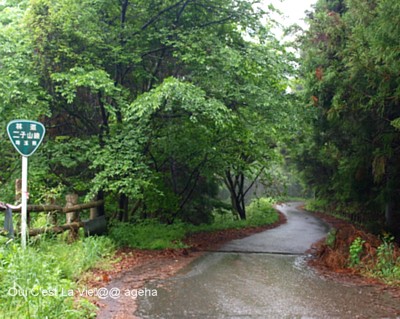 2010.5.23sun秩父新緑雨ドライブ。