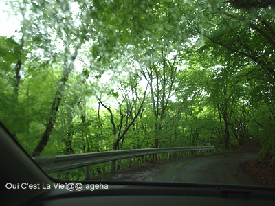 2010.5.23sun秩父新緑雨driving。