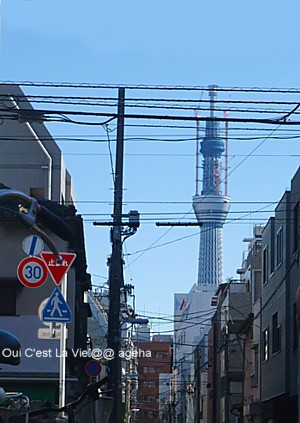 TOKYO SKY TREE東京スカイツリー2011.1.10