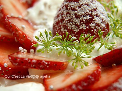 ケーキの飾り。ミントの代わりにイタリアンパセリの花。