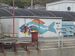 HIMG0027.jpg