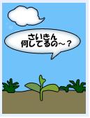 三つ葉９日め「さいきん何してるの～？」.JPG