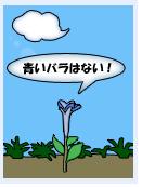 開花0426「青いバラはない！」.JPG