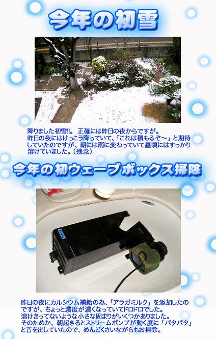 雪1のコピー.jpg