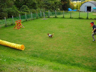 DSCN0370.jpg