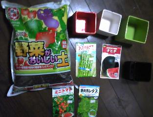 形から入るタイプ