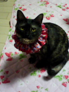 091222_2003.jpg