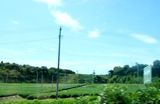 2008_08180009.JPG
