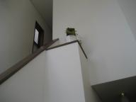 009.JPG