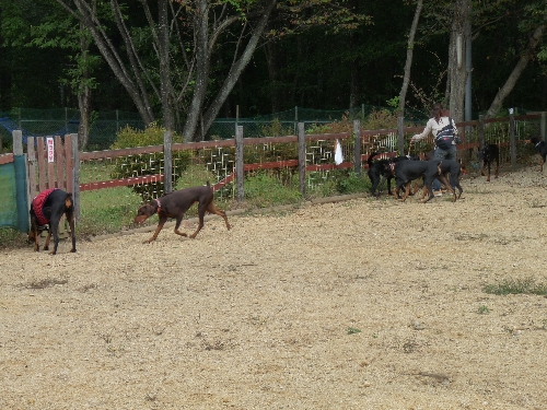 オフ会