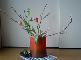 2009.02.27桃の花とチューリップと菜の花2