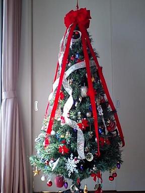 11.28.2008クリスマスツリー2