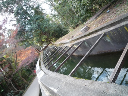 2012.01.01南禅寺5