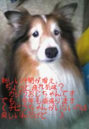 カジラのお正月