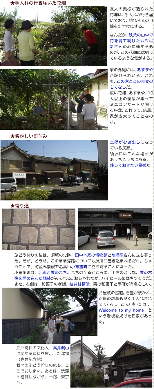 2009.09.20ぶどう下.jpg