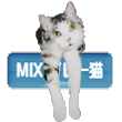 チビくん-MIXグレー猫１.gif