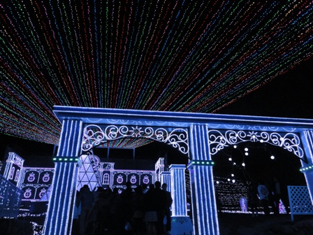 相模湖イルミリオン２