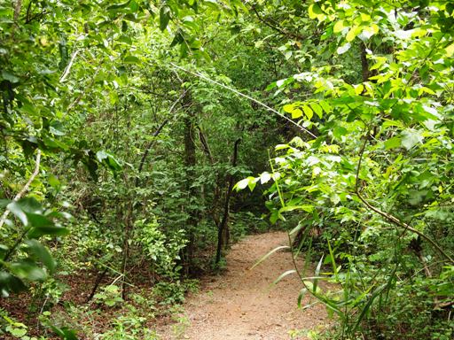 ダーウィン　イーストポイント