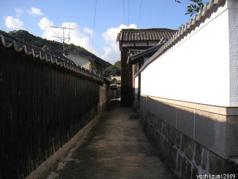 大浦の家並み２