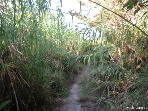 大浦から金風呂へ