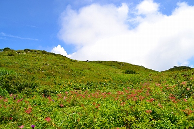 伊吹山　11/08/07