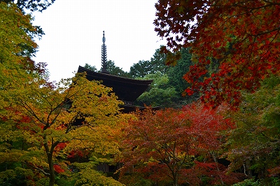 金剛輪寺　11/11/18