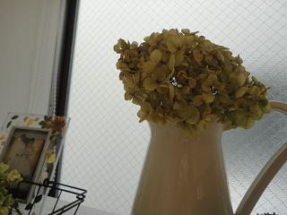 DSC02208.JPG