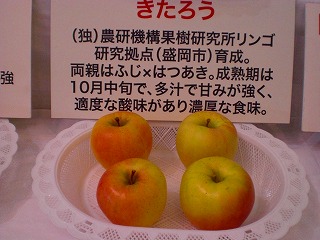 種苗交換会in横手　2011 012.jpg