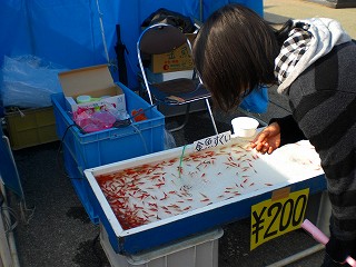 種苗交換会in横手　2011 082.jpg