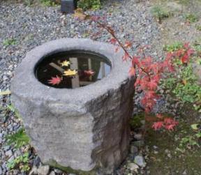 もみじ普願寺もみじと石の水入れ.jpg
