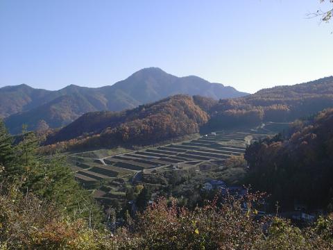 姨捨山　棚田　初冬