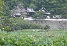 大雲寺