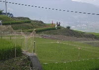 姨捨棚田網張り風景7月24日