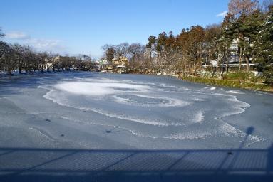 冬の臥龍公園氷.jpg