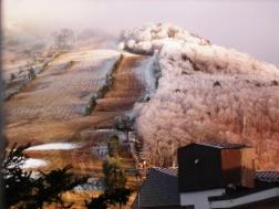 志賀高原高天が原２００４年１１月末　樹氷.jpg